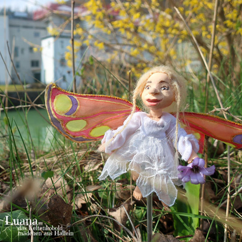 Foto des Monats März